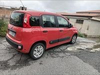 Usata Fiat Panda 80 CV (58 kW) 2017 Rosso Berlina