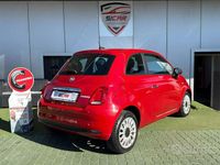 Usata Fiat 500 Lounge 69 CV (50 kW) 2021 Rosso Utilitaria