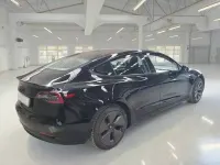 Usata Tesla Model 3 Standard Range 87 kW (119 CV) 2021 Berlina