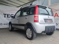Usata Fiat Panda 4x4 60 CV (44 kW) 2010 Grigio Utilitaria