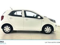 usata Kia Picanto 1.0 12V 5 porte Active usato