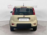 Usata Fiat Panda S 70 CV (51 kW) 2024 Bianco Utilitaria