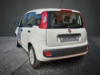 usata Fiat Panda 1.0 FIREFLY 70cv S&S HYBRID EASY