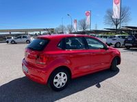 usata VW Polo 1.2 5 porte Trendline