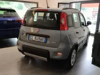 Usata Fiat Panda City Life 69 CV (50 kW) 2022 Grigio Utilitaria