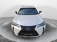 usata Lexus UX 250h Hybrid Executive