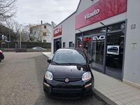 Nuova Fiat Panda Icon 69 CV (50 kW) 2025 Nero Utilitaria