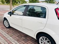 Usata Fiat Punto Easy 69 CV (50 kW) 2010 Bianco Utilitaria