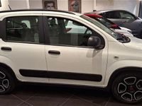 usata Fiat Panda Cross 1.0 FireFly S&S Hybrid City usato