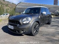 Usata Mini Cooper S Countryman 184 CV (135 kW) 2010 Grigio SUV