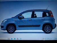 Usata Fiat Panda Lounge 69 CV (50 kW) 2020 Grigio Utilitaria