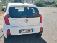 Usata Kia Picanto 67 CV (49 kW) 2015 Bianco Utilitaria