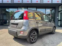 Usata Fiat Panda City Life 69 CV (50 kW) 2022 Grigio Utilitaria