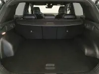 Usata Kia Sportage GT-Line 180 CV (132 kW) 2023 Verde SUV
