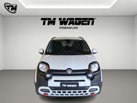 Usata Fiat Panda Cross Cross 70 CV (51 kW) 2024 Bianco Utilitaria