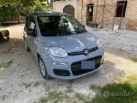 Usata Fiat Panda 69 CV (50 kW) 2018 Grigio Utilitaria