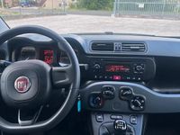 Usata Fiat Panda Easy 70 CV (51 kW) 2019 Utilitaria