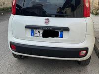 Usata Fiat Panda Easy 69 CV (50 kW) 2019 Bianco Utilitaria