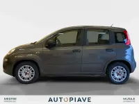 Usata Fiat Panda S 69 CV (50 kW) 2022 Grigio Utilitaria