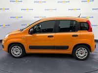 Usata Fiat Panda S 69 CV (50 kW) 2021 Arancione Utilitaria