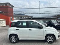 Usata Fiat Panda Easy 95 CV (69 kW) 2018 Bianco Utilitaria