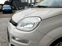 Usata Fiat Panda Easy 69 CV (50 kW) 2015 Beige Utilitaria