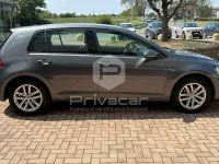 Usata VW Golf VIII Business 149 CV (109 kW) 2020 Grigio Berlina