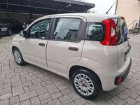 Usata Fiat Panda Lounge 95 CV (69 kW) 2016 Beige Utilitaria