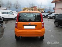 Usata Fiat Panda 4x4 Dynamic 70 CV (51 kW) 2009 Giallo Utilitaria