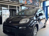 Usado Fiat Panda Cross Cross 69 CV (50 kW) 2023 Negro Utilitario