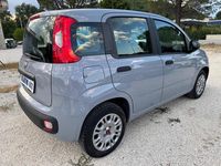 Usata Fiat Panda Easy 69 CV (50 kW) 2020 Grigio Utilitaria
