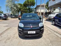 Usata Fiat Panda Easy 69 CV (50 kW) 2017 Nero Utilitaria