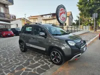 Usata Fiat Panda Cross Cross 70 CV (51 kW) 2021 Grigio Utilitaria