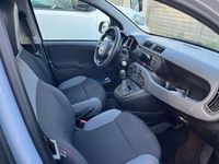 Usata Fiat Panda Lounge 69 CV (50 kW) 2019 Utilitaria