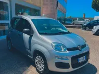 Usata Fiat Panda Easy 69 CV (50 kW) 2020 Grigio Utilitaria