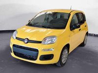 Nuova Fiat Panda Pop 65 CV (47 kW) 2026 Giallo Utilitaria