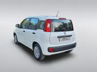 Usata Fiat Panda Easy 69 CV (50 kW) 2018 Bianco Utilitaria