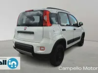 Usata Fiat Panda 4x4 Wild 84 CV (61 kW) 2021 Bianco Utilitaria