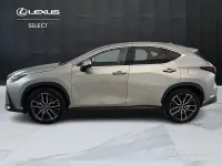 Usata Lexus NX450h+ Luxury Line 190 CV (139 kW) 2022 Argento SUV