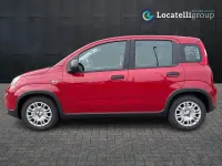Usata Fiat Panda S 69 CV (50 kW) 2024 Bianco Utilitaria