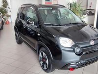 usata Fiat Panda Cross 1.0 FireFly S&S Hybrid