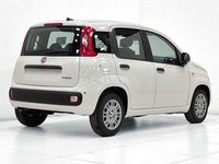 Nuova Fiat Panda Icon 65 CV (47 kW) 2026 Bianco Utilitaria