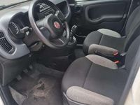 Usata Fiat Panda S 69 CV (50 kW) 2021 Bianco Utilitaria