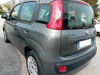 usata Fiat Panda 1.2 Easy