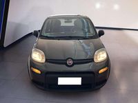Usata Fiat Panda S 69 CV (50 kW) 2023 Grigio Utilitaria