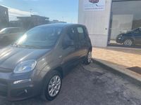 Usata Fiat Panda Lounge 80 CV (58 kW) 2017 Grigio Berlina