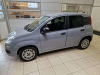 Usata Fiat Panda Easy 69 CV (50 kW) 2020 Grigio Utilitaria
