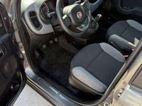 Usata Fiat Panda City Life 70 CV (51 kW) 2022 Grigio Utilitaria