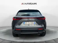 Usata Lexus NX350h Business Edition 243 CV (178 kW) 2023 Grigio SUV