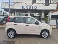 Usata Fiat Panda Lounge 80 CV (58 kW) 2015 Beige Utilitaria